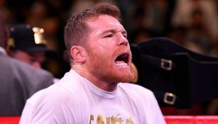 Canelo Álvarez en una pelea 