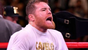 Canelo Álvarez ha tenido peleas muy entretenidas, señaló Fury