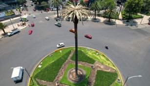 Palmera de Reforma