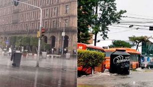 Un bote de basura se viralizó en las redes sociales por 'pasearse' en el Zócalo
