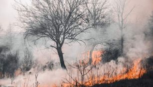 Nuevo León en riesgo de incendios forestales