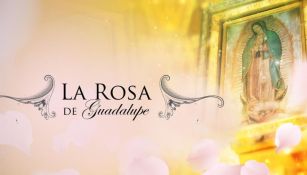 La Rosa de Guadalupe festeja sus 17 años ininterrumpidos al aire