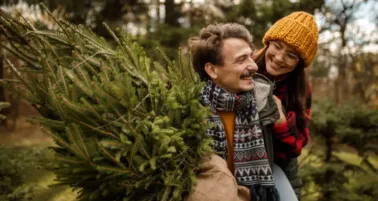 Árboles de Navidad 2025 en el Estado de México: dónde comprarlos y cómo elegirlos