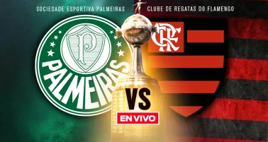 Palmeiras vs Flamengo EN VIVO Copa Libertadores Final