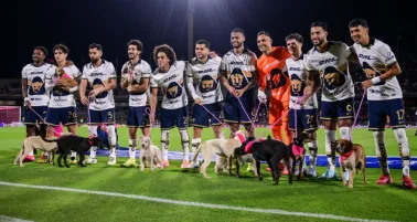 Futbol de Estufa: Altas, bajas y rumores de Pumas para el Clausura 2026