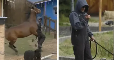 VIDEO: Sergio Mayer Mori sufre accidente con un caballo en La Granja VIP