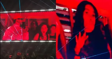 La farándula ha demostrado que los sonidos urbanos los enloquecen.