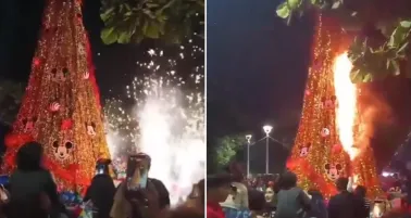 Encendido navideño termina en incendio de árbol en Bahía de Banderas, Nayarit | VIDEO