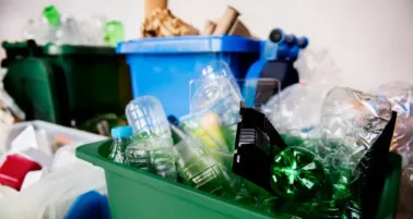 Obligatorio separar basura en la CDMX desde enero de 2026: ¿Qué pasa si no lo haces?