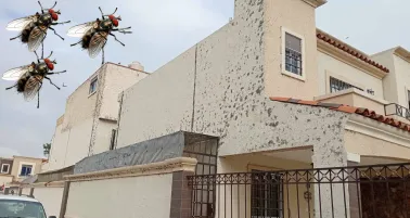 Familias en el fraccionamiento Florencia ya no saben qué hacer y temen por su salud.