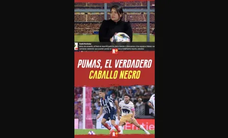 PUMAS, el VERDADERO caballo negro