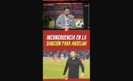 Incongruencia en la Sanción de ANSELMI