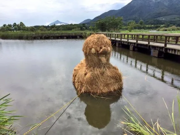 @amymauscd Un pato de paja sobre el agua