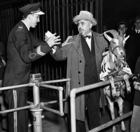 La cabra a las afueras del estadio