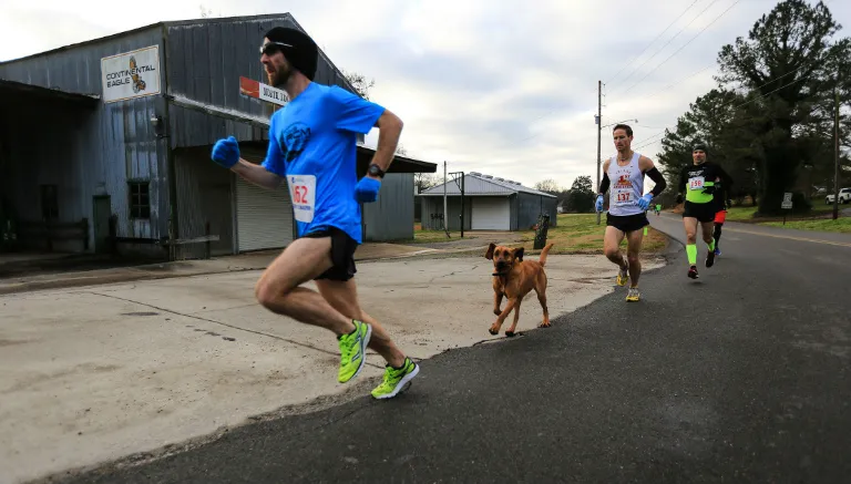 La perrita durante la carrera