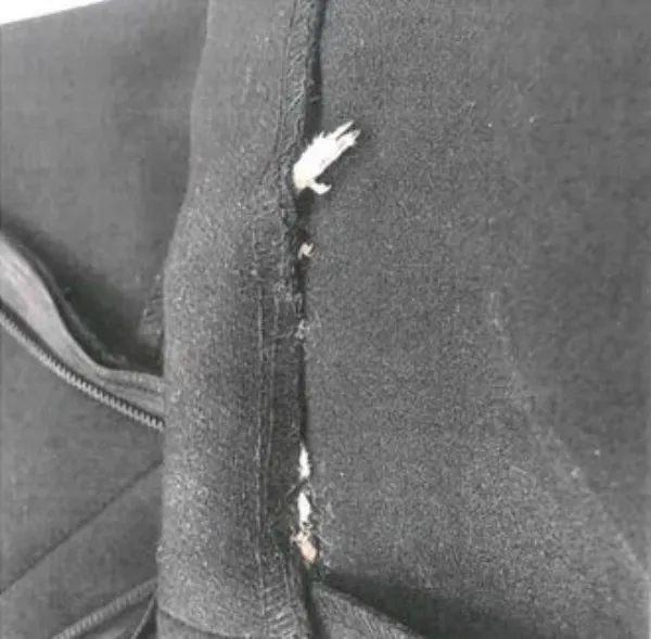 Una pata del roedor se salió de la costura y lo delató