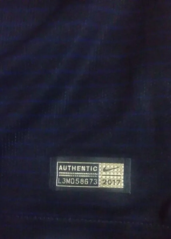 En 2017 se usaría la casaca