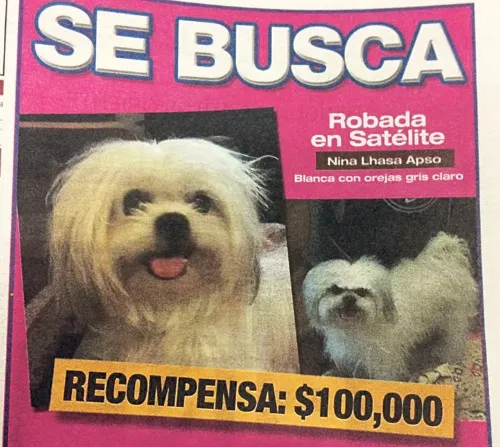 Foto de la publicación en un diario donde se busca a Nina