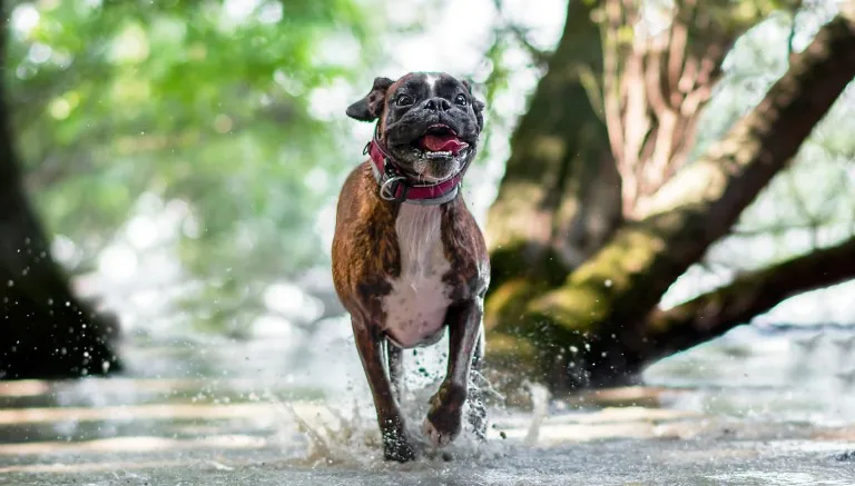 ESPECIAL El protagonista corriendo felizmente en el agua
