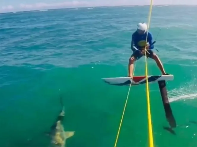 Alex Soto cerca de impactar con el tiburón