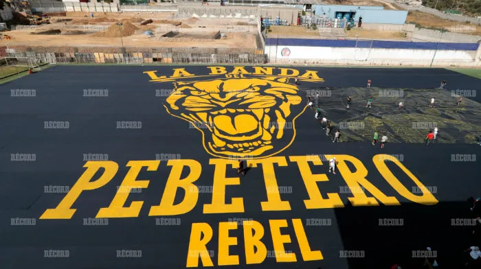 Manta que realizó La Rebel para el Pumas vs América del C2019