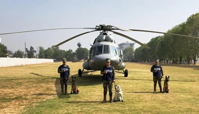 Elementos de la Semar