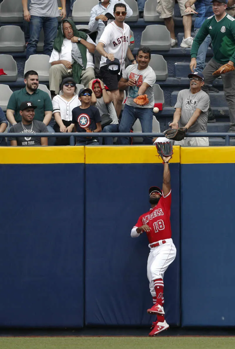 AP Un jardinero de Angels intenta atrapar la pelota