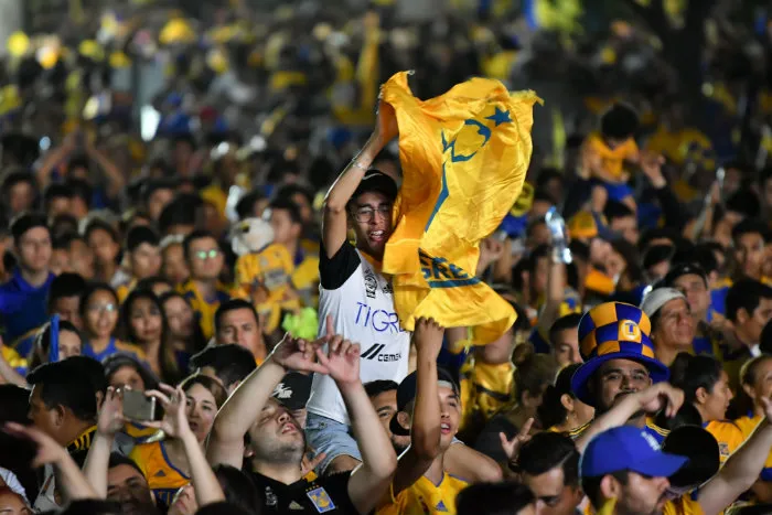 IMAGO7 Aficionados de Tigres en festejo