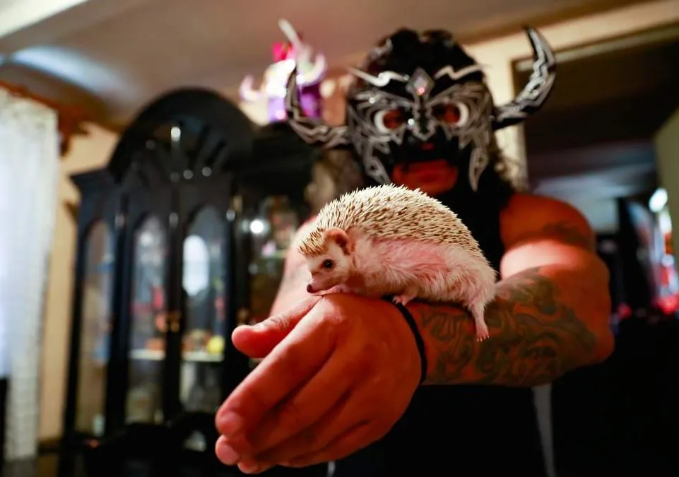 CARLOS RAMÍREZ Psicosis, un amante de las luchas y los animales