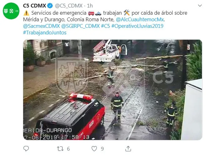 TWITTER @C5_CDMX Reporte de árbol caído