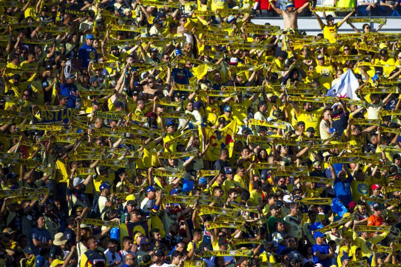 Afición de América en los Estados Unidos