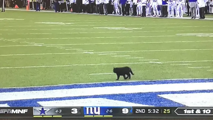 TWITTER @JClarkNBCS El gato negro a punto de entrar a la zona de anotación