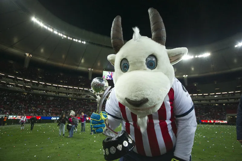 IMAGO7 Chiva loca en celebración