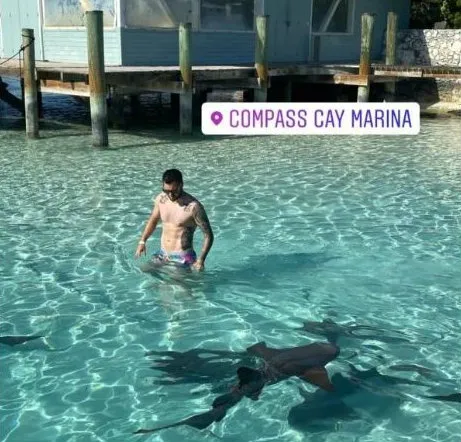 INSTAGRAM @10apg Gignac en las Bahamas nadando con tiburones