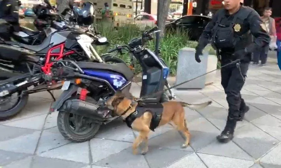 Elementos de seguridad en Parque Delta