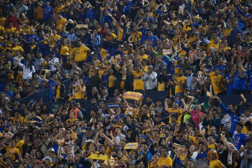Aficionados de Tigres durante un partido