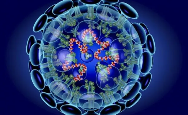 Composición del virus