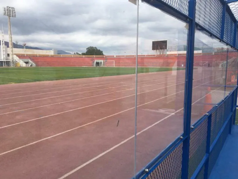 Área especial del Estadio Marte R. Gómez