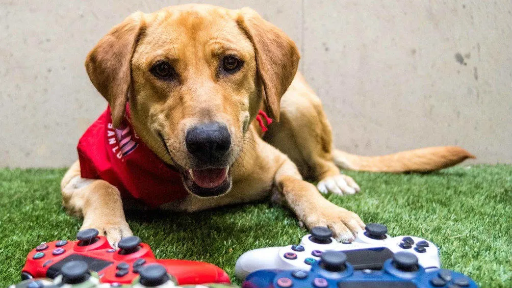 Twitter:@ATLETIDESANLUIS Tunita con controles de Play Station