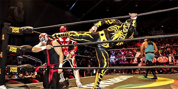 Los aficionados podrán disfrutar de la Triple A