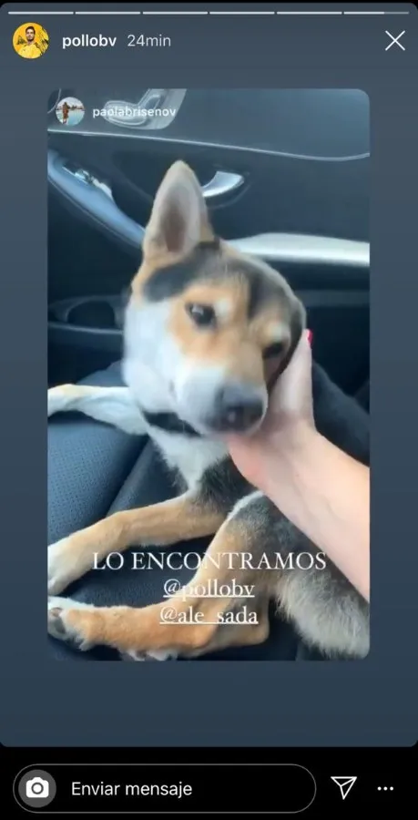 INSTAGRAM @POLLOBV Nobu, mascota del Pollo Briseño