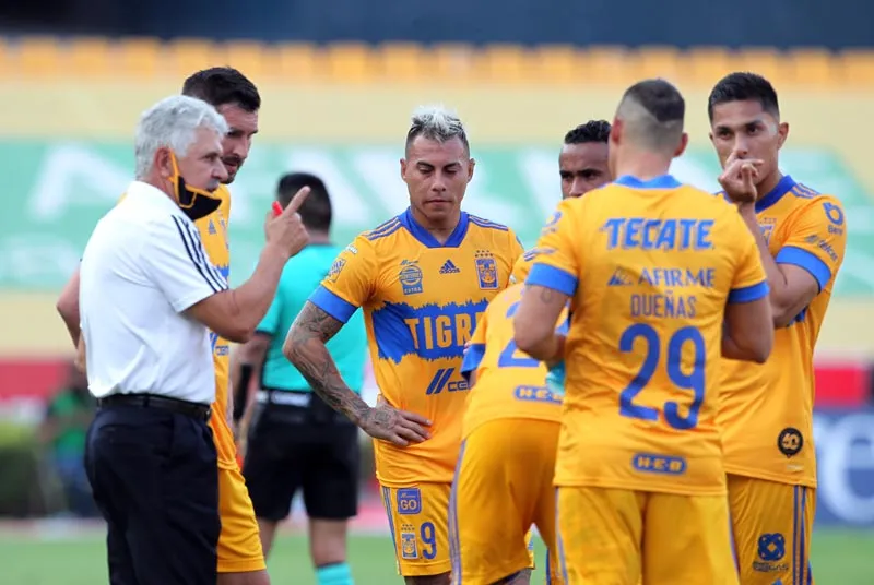 IMAGO7 El estratega felino da órdenes a sus jugadores