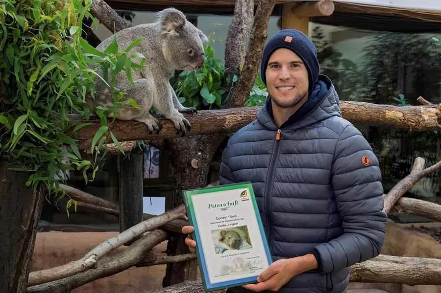 EFE Dominic Thiem junto a la mamá koala