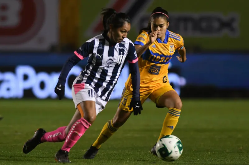 Tigres Femenil en partido