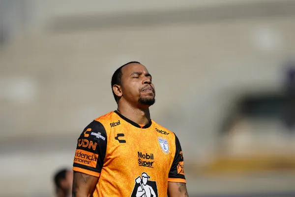 IMAGO7 Pardo en lamento con Tuzos