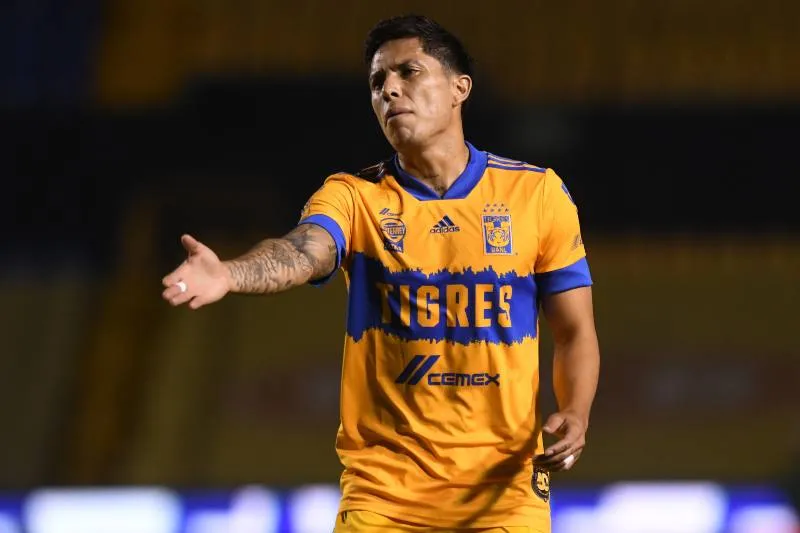 Tigres en lamento de gol