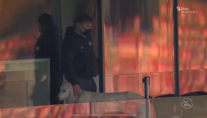 ESPECIAL Perrito con el presidente del Zurich