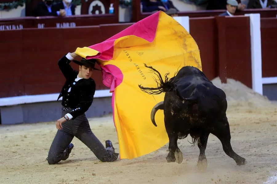 EFE Corridas de toro con público reanudaron en Madrid