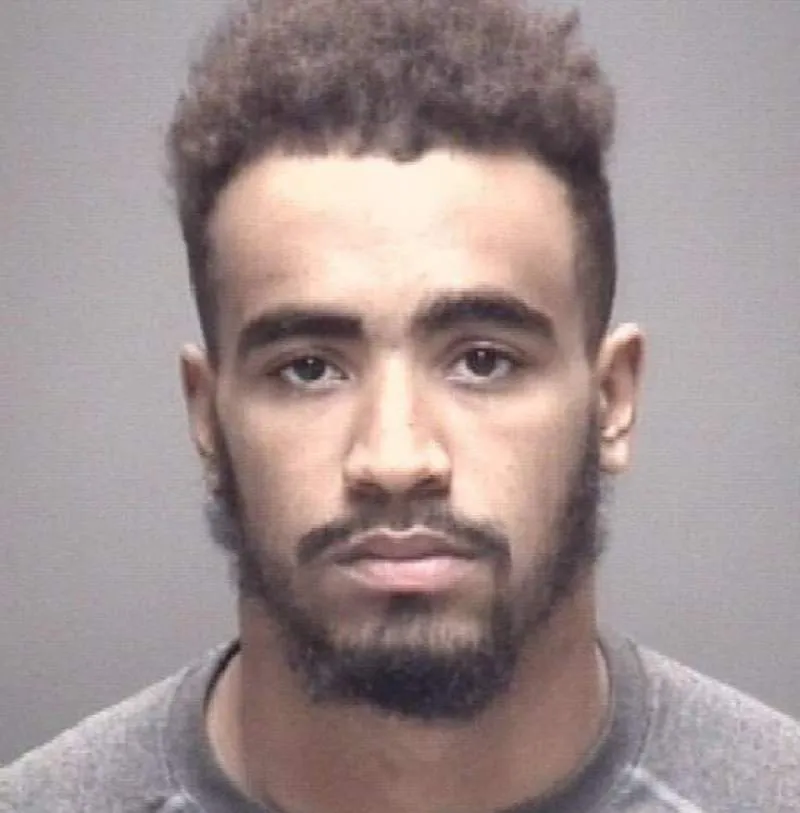 Hijo Vince Wilfork arrestado