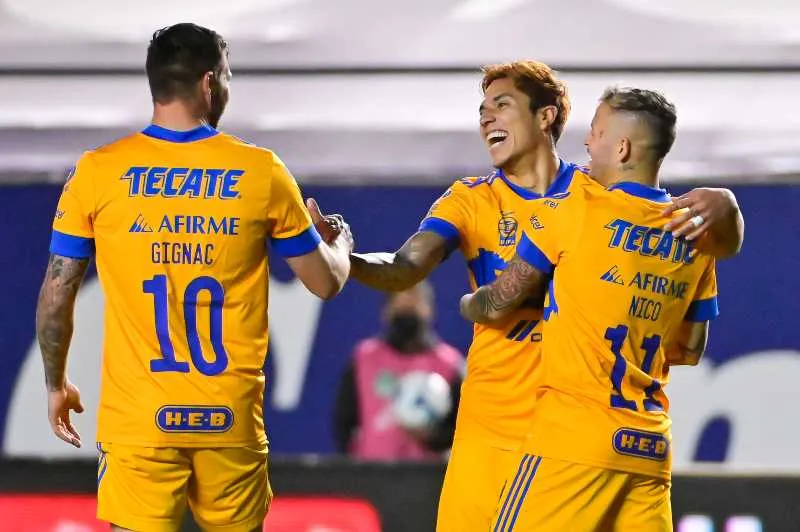 Tigres en festejo de gol